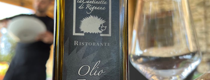 La Fattoria Di Rignana is one of Chianti Classico Direct Sales in Wineries.