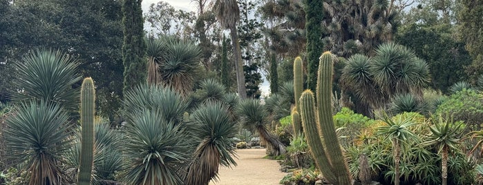 Arizona Cactus Garden is one of SF Bay Area - I: Santa Clara & San Mateo Counties.