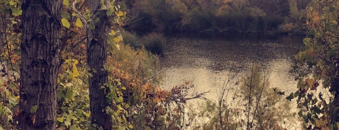 San Diego River Walk is one of Alison’s Liked Places.