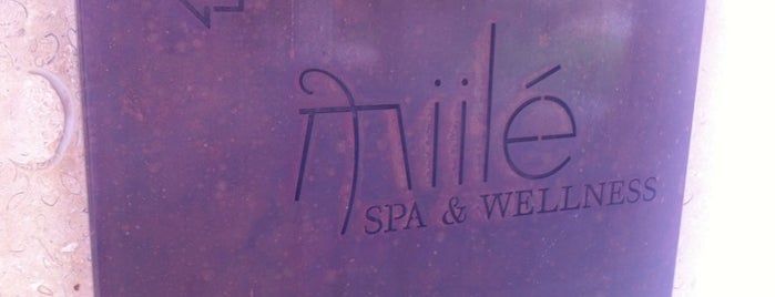 Mille Spa is one of สถานที่ที่ Tyler ถูกใจ.