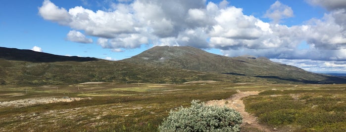 Bron över Lillulvån is one of Jämtlandsfjällen.