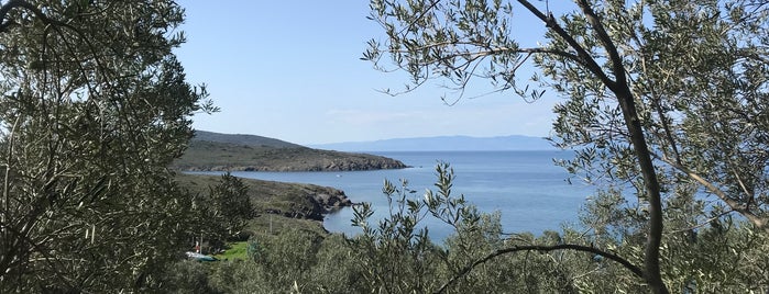 Ayışığı Manastırı | Agios Dimitrios ta Salina is one of Tatil.