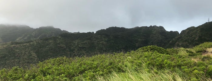 Kamehame Ridge is one of Trekking Oahu.