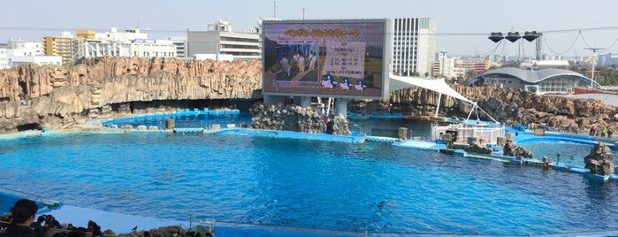 Port of Nagoya Public Aquarium is one of Japan.