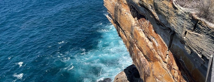 Coastal Cliff Top Walkway is one of Sydney.