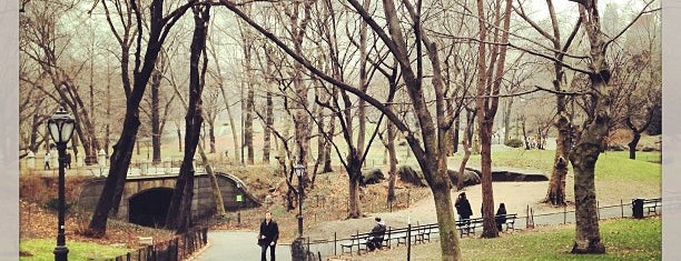Центральный парк is one of New York.