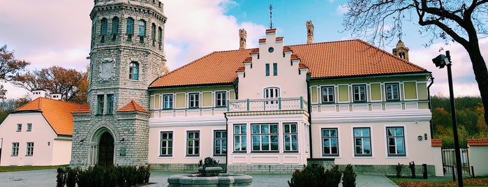 Maarjamäe loss is one of Tallinn.