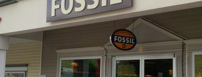Fossil Outlet is one of Locais curtidos por Mario.