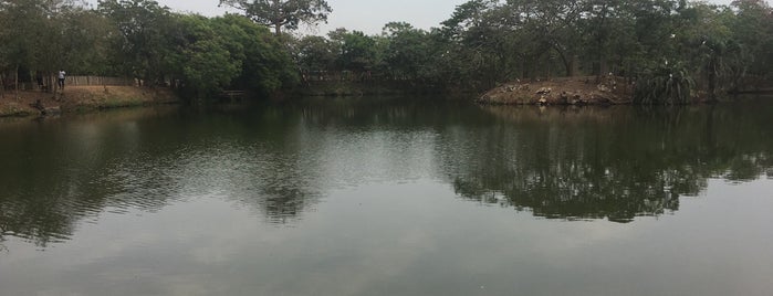 Legon Botanical Gardens is one of Petrさんのお気に入りスポット.