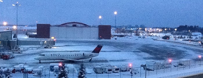 Aeropuerto Internacional de Ottawa Macdonald-Cartier (YOW) is one of Official airport venues.
