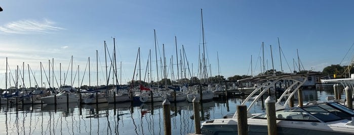 Fresco's Waterfront Bistro is one of St Pete Eats.