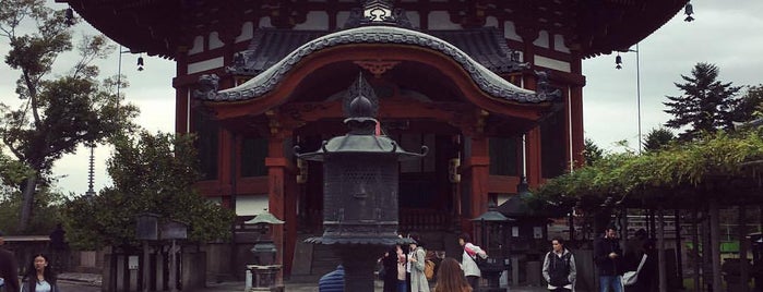 Kofukuji Temple is one of Japan 2017.