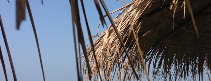 Goa Beach at Taj Exotica is one of Tempat yang Disukai Anastasia.