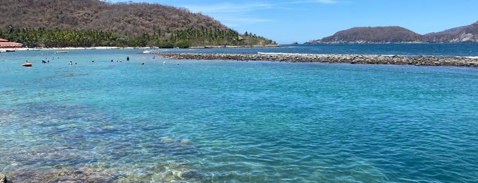 Playa Las Gatas is one of ixtapa honeymoon.