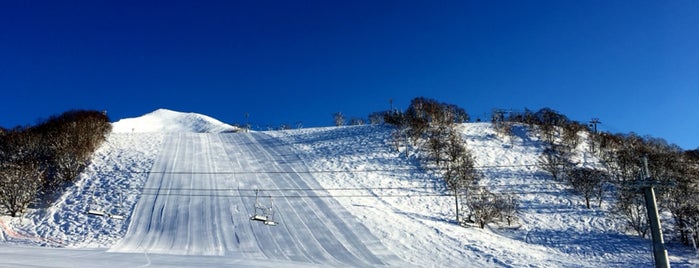 Niseko Annupuri International Ski Area is one of Cool JAPAN,Amazing JAPAN.