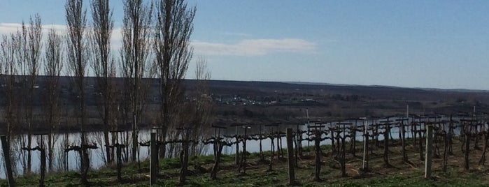 Gordon Brothers Cellars is one of WA Wine Tour.