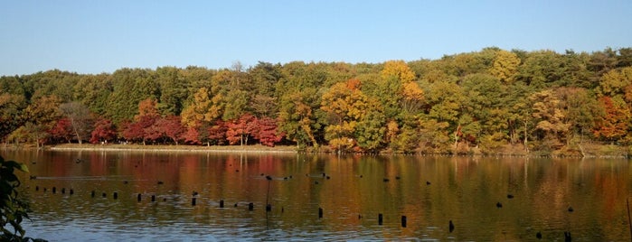 日本の都市公園100選 日本の都市公園100選