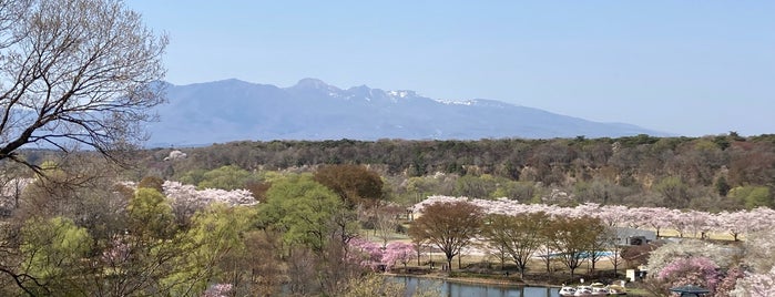 那珂川河畔公園 is one of 那須.