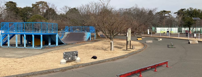 県西運動公園 is one of 遊び場.