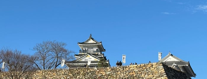 Hamamatsu Castle is one of Orte, die Kt gefallen.