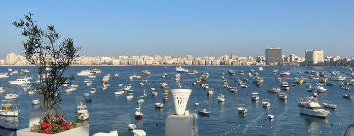 Egyptian Yacht Club is one of Entertainment.