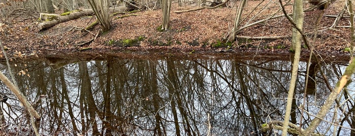 Eiskeller is one of Ausflugsziele.