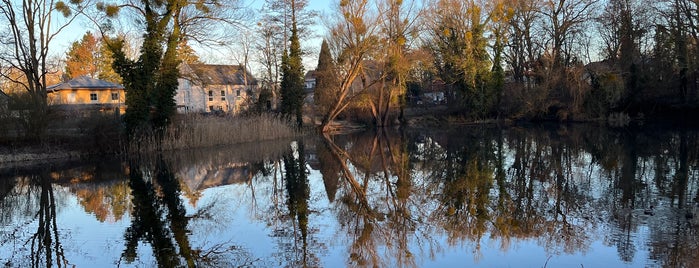 Lindenweiher is one of Klingelさんのお気に入りスポット.