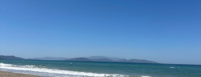 Panionion Plajı is one of kuş adası.