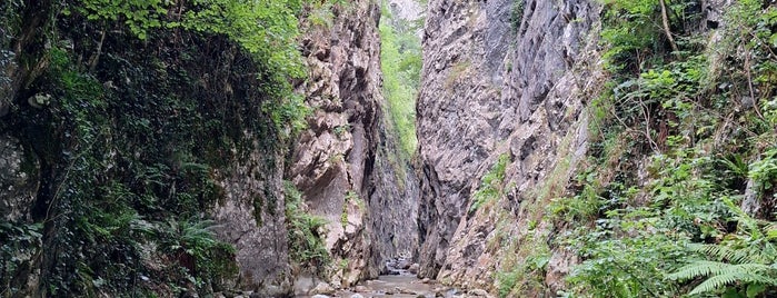 Serindere Kanyonu is one of Gidilecek.