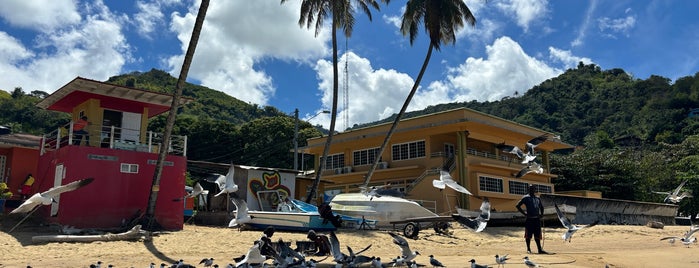 Castara Beach is one of Tobago.