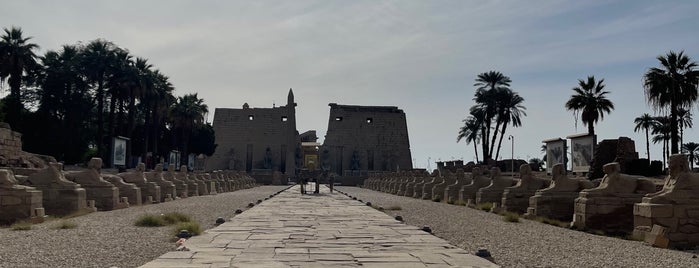 Avenue of the Sphinxes is one of African Travel Bucket List.