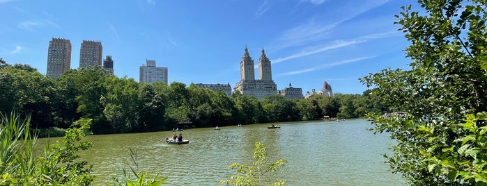 Central Park - Aaliyah's Weeping Willow is one of Devonta'nın Beğendiği Mekanlar.