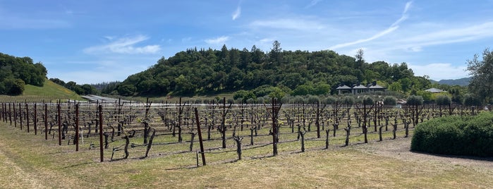 Cliff Lede Vineyards is one of Winery Places.