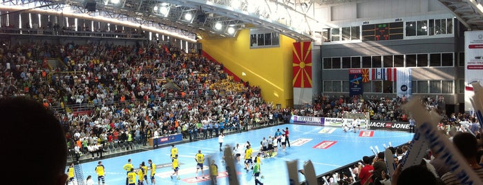 Спортски центар „Борис Трајковски“ is one of FYR MACEDONIA #2.