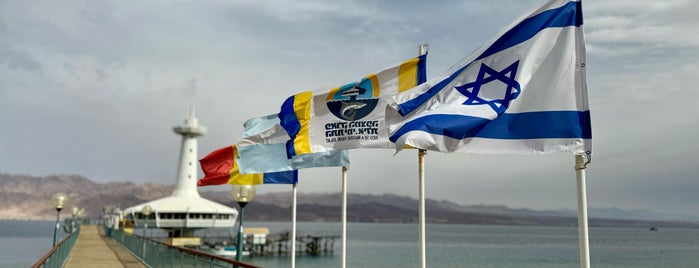 The Underwater Observatory Marine Park is one of Eilat.