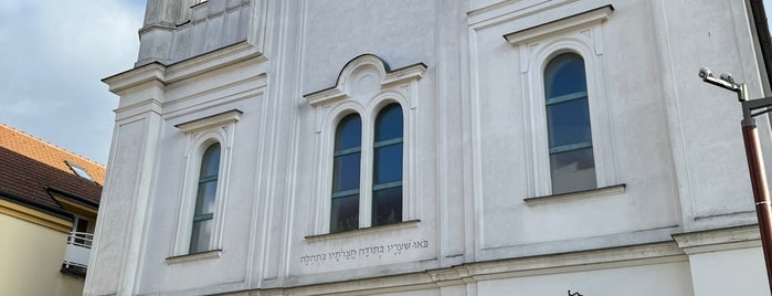 Synagoga is one of Brno a Okoli.