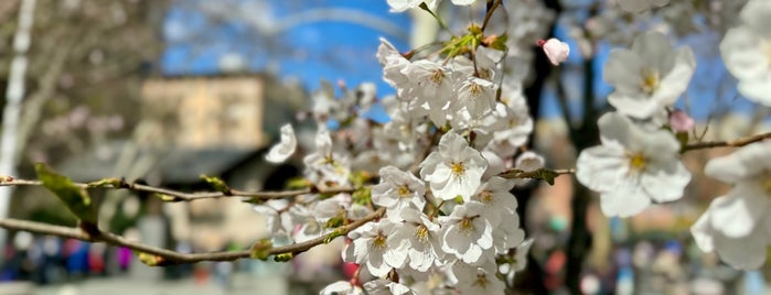 Columbus Park is one of Date Activities.