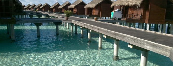 Anantara Dhigu Resort & Spa Maldives is one of Ideas for future holidays.