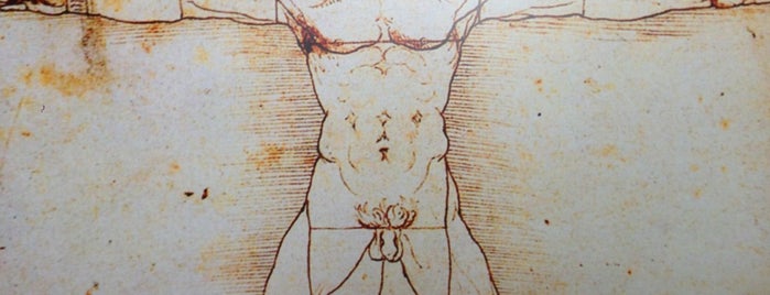 Expo Da Vinci is one of BruLux.