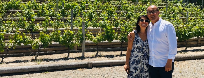 Bodega Atamisque is one of Tupungato.