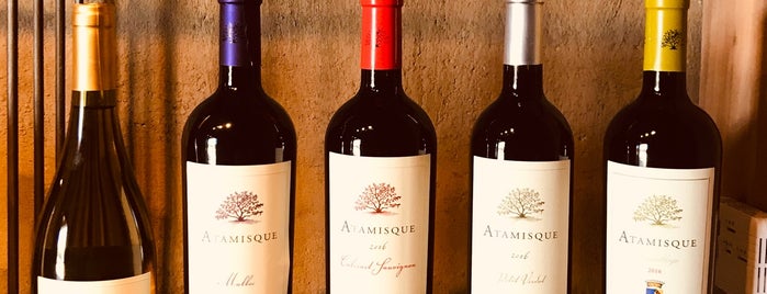 Bodega Atamisque is one of Mendoza Wineries.
