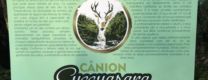 Cânion do Sussuapara is one of Lieux qui ont plu à Dade.