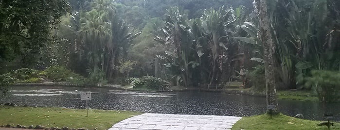 Jardim Botânico do Rio de Janeiro is one of Tempat yang Disukai Adeangela.