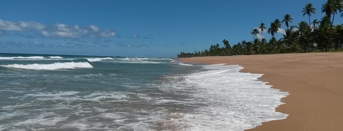 Praia Busca Vida is one of Tempat yang Disukai Adeangela.