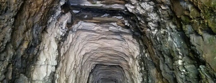 Stumphouse Tunnel is one of Orte, die Joshua gefallen.
