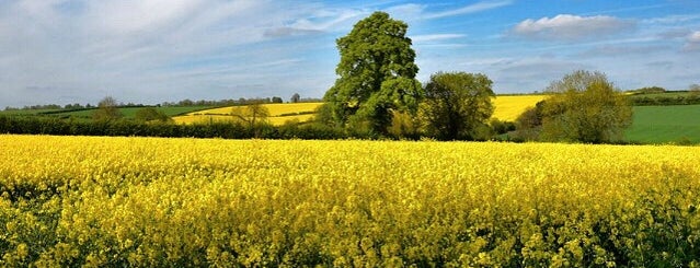 The Cotswolds is one of United Kingdom.