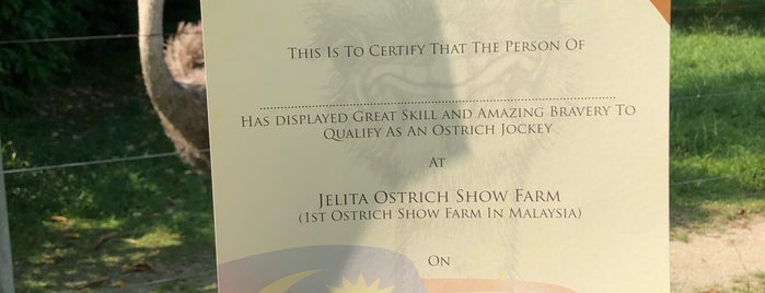 Jelita Impian Ostrich Farm is one of Tempat yang Disimpan ꌅꁲꉣꂑꌚꁴꁲ꒒.