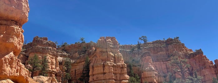 Red Canyon is one of National and state parks.