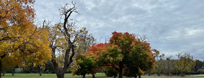 Sunnyvale Municipal Golf Course is one of SF Bay Area - I: Santa Clara & San Mateo Counties.