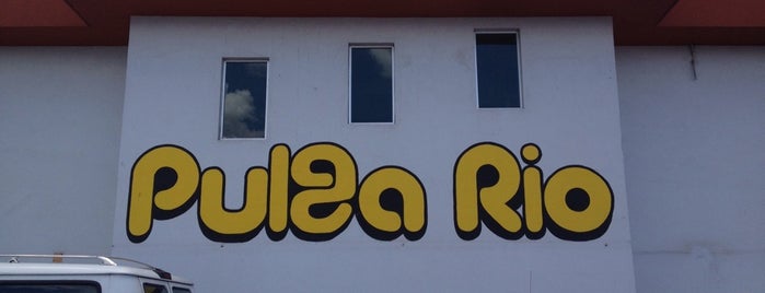 Pulga Río is one of Locais curtidos por Nelly.